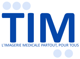 E-learning TIM/ISOTEAM